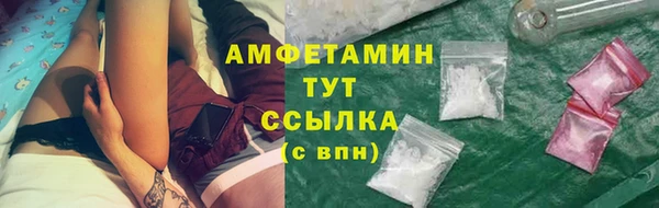 PSILOCYBIN Вяземский